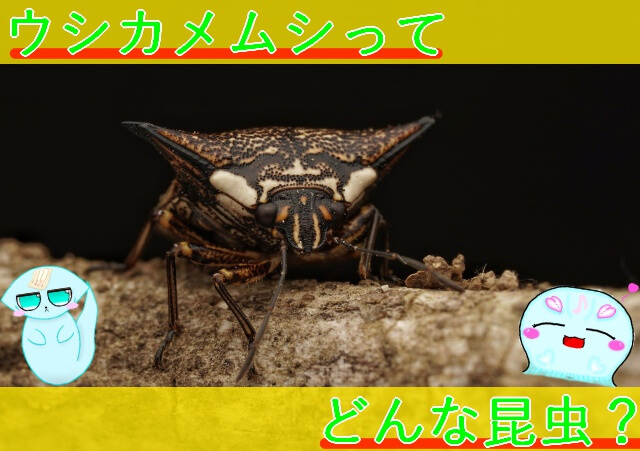 Thumbnail of post image 003